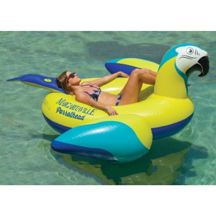 pool float with bluetooth speaker