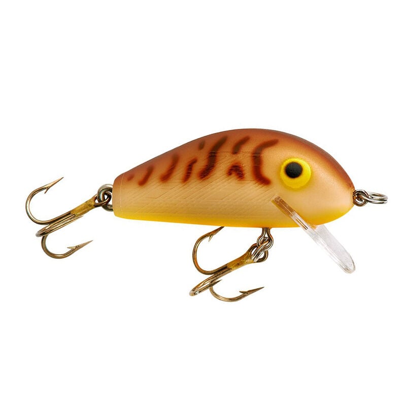 Rebel Lures Classic Critters Crankbait Fishing Lures 4-Pack, Includes 1  Teeny Pop-R, 1 Crickhopper, 1 Teeny Wee Crawfish, and 1 Teen Wee-R, Multi,  On - Imported Products from USA - iBhejo