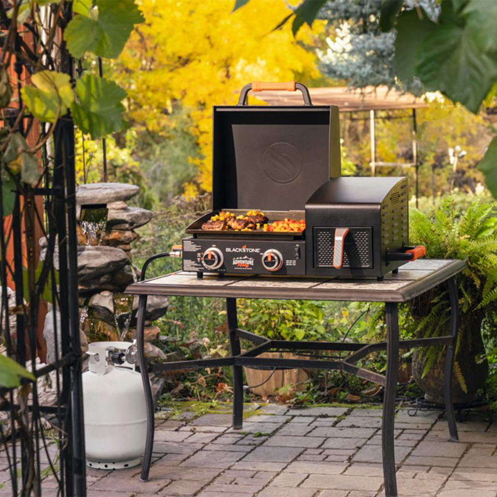 17 Griddle/Air Fryer (Gas/Electric)